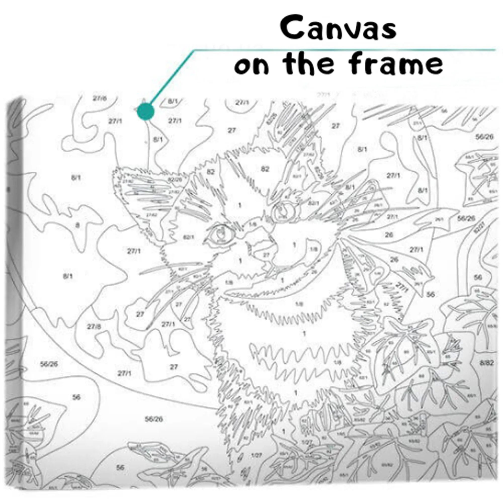 Raccoon Paint By Number kit Adult, Animal Painting set With Frame, Acrylic paint On Canvas Gift