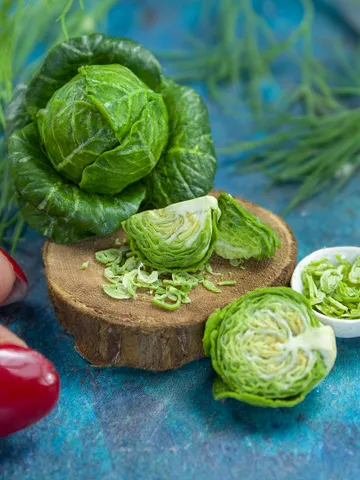 TUTORIAL Miniature cabbage cane with polymer clay $17.00