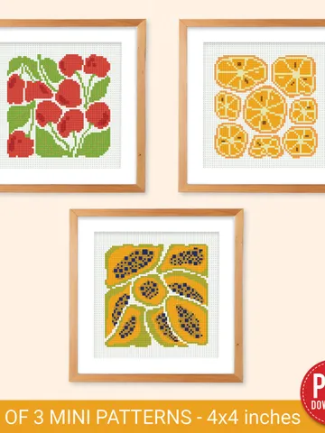 Bundle of 3 mini contemporary Fruit Cross stitch patterns Abstract Food Plant beginner counted modern chart gift DIY embroidery instant PDF $7.11