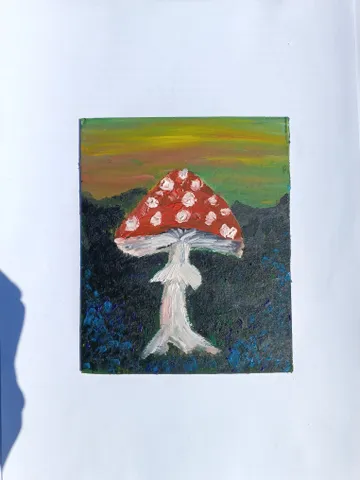 Мухомор $40.00