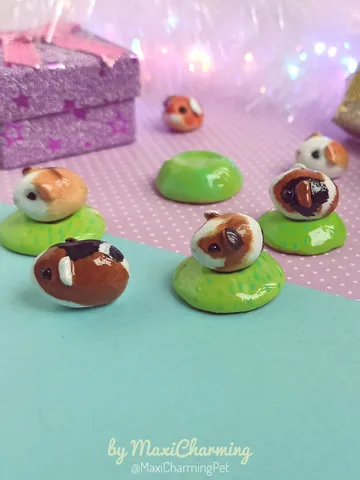 A guinea pig of random color from those shown  (pre-order)