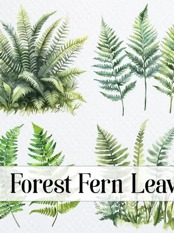 12 Forest Fern Leaves PNG bundle, Printable Watercolor Fern Clipart for sublimation, Digital download, Paper craft, junk journals $2.64