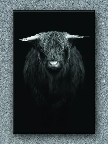 Wild cow Print on Canvas , Floating Frame Option, Modern Wall Art, Extra Large Canvas Wall Art $160.00
