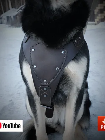 Leather pattern to make Dog harness. OTH13 $9.00