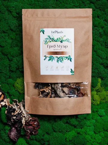 Premium delicacy Muer (Auricularia auricula) wood mushroom Altai 200g ( 7.05 oz) $107.00