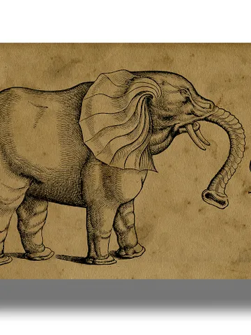 Illustration of an elephant from an ancient bestiary. $21.00