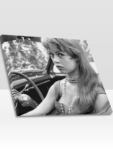 Brigitte Bardot Frame Canvas Print, Wall Art Home Decor $24.00