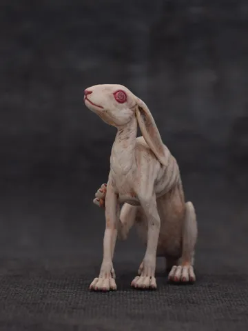 White rabbit