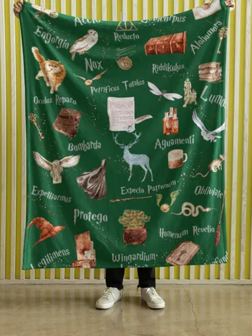 Wizarding World Baby Blanket; Magic School Baby Minky Blanket Owl Key Magic World Custom Wizard Blanket Gift for Baby Minky Blanket WBB12 $61.69