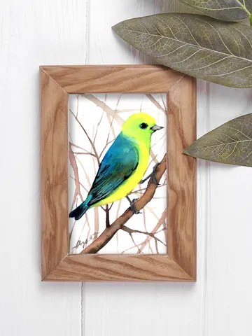 Blue-naped Chlorophonia original watercolor, birds painting, handmade wall decor, 5x7 in art for bird lovers by Anne Gorywine $38.00