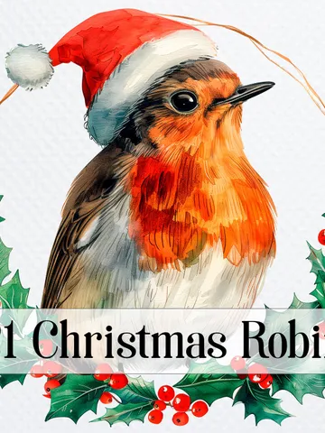 21 Christmas Robin In Hat PNG Bundle, Winter Printable Watercolor clipart for sublimation, Digital download, Paper craft, junk journals $2.64