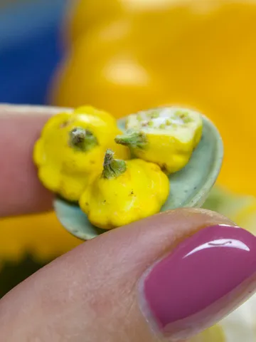 TUTORIAL Miniature pattypan squash with polymer clay $11.00