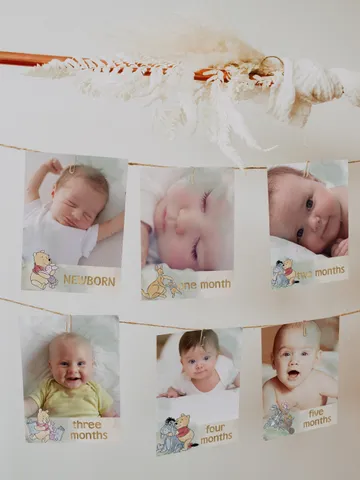 Editable Photo Banner one year garland Winnie the Pooh First Birthday Photo Banner Garland; Hundred Acre Wood Party; Instant Download; wpg15