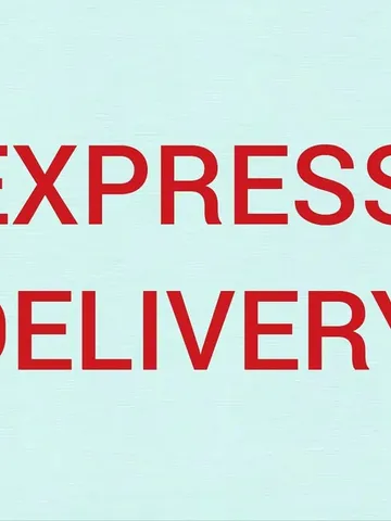 Express delivery $12.00