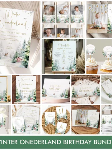Editable Winter ONEderland Birthday Invitation Bundle, Winter Wonderland First Birthday , Deer, Winter Woodland, Adventure Theme Party i128 $40.00
