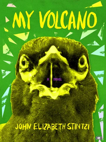 My Volcano by John Elizabeth Stintzi Digital Download Ebook Book PDF $2.49