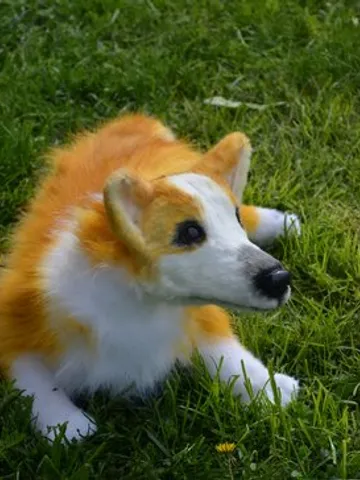 Corgi dog. Stuffed toy dog. $495.00