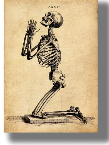 A praying skeleton. Vintage anatomy style illustration. $21.00