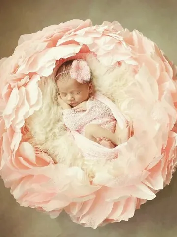 Giant Flower Newborn Baby Photography Props Children Props newborn Newborn Photo Prop Props newborns newborn props girl $170.00
