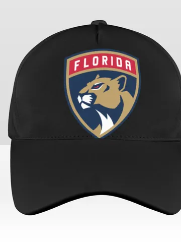 Florida Panthers Baseball Hat $36.00
