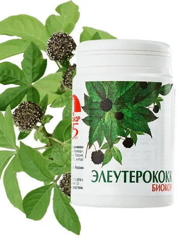 Eleutherococcus, capsules 100 pcs. $35.00