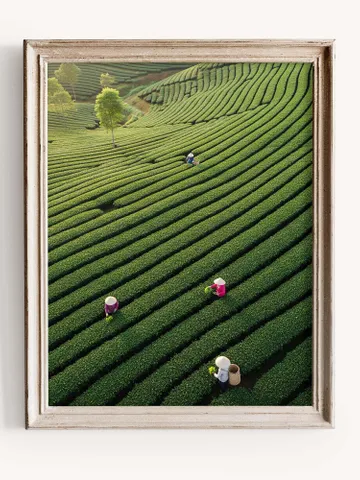 Vietnam Landscape Print | Asian Nature Wall Decor | Minimalist Green Poster | Asian Landscape Print | Vietnam Tea Garden Poster | Digital $2.46