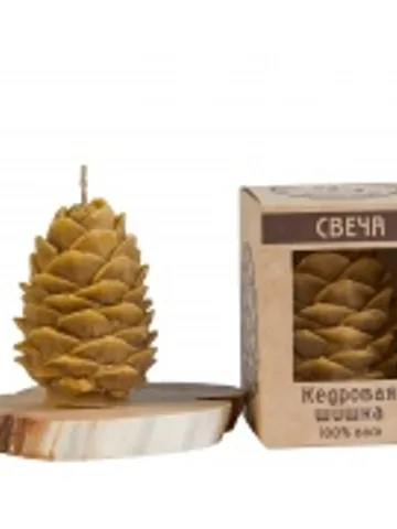 Candle "Cedar cone" $99.00