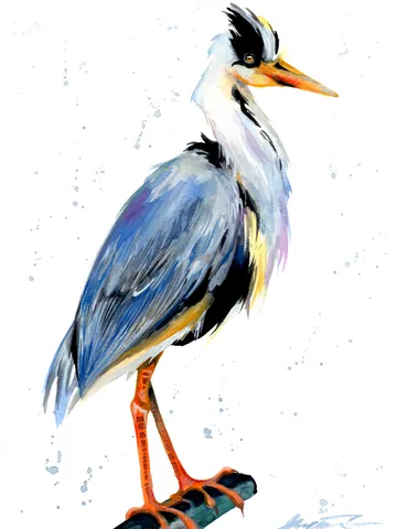 Great Blue Heron Bird Watercolour, bird painting, wall decor, birds lover gift, 8x11 in handmade art by Anne Gorywine $48.00