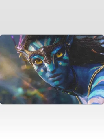 Avatar Doormat, Welcome Mat $45.00