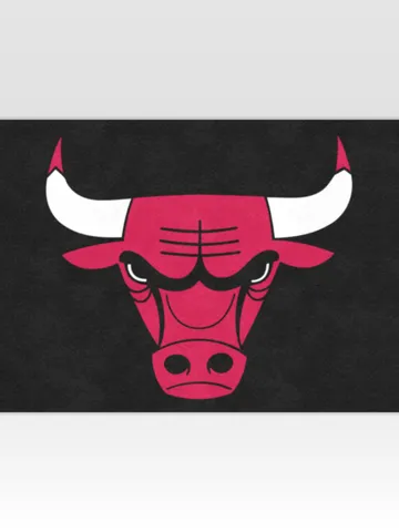 Chicago Bulls DoorMat $48.00