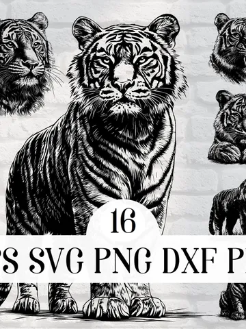 Vector 16 Tiger Design Bundle cute Tigress PNG for Sublimation Tiger SVG file for cricut, Wild Tiger Laser Cut file for engraving, Prints $2.99