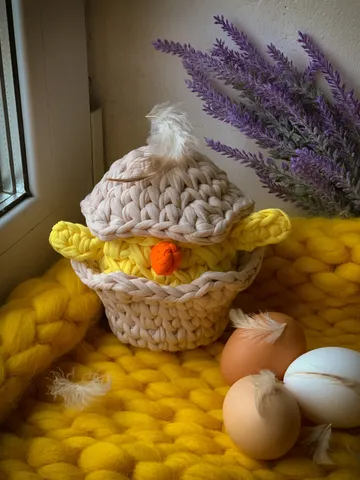 basket chicken egg Easter, crochet interior gift, bedroom livingroom storage, eco friendly basket $55.00