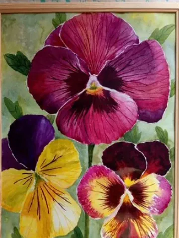 Framed painting under glass "Pansies", watercolor, size 40 x 30 cm $190.00
