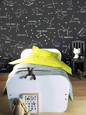 27 Zodiac Constellation Wall Decals - Star Decals, Zodiac Gift, Vinyl Wall Decals, Star Wall Stickers, Wall Decor, GIft for Her ga160-I $36.99