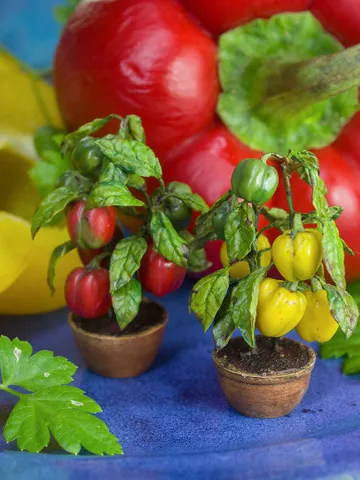 TUTORIAL Miniature pepper plant with polymer clay $18.00