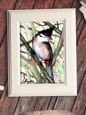 Red-whiskered Bulbul original watercolor, birds painting, handmade wall decor, 5x7 in art for bird lovers by Anne Gorywine $38.00