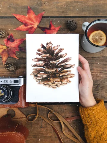 Watercolor poster "PINE CONE" $21.00
