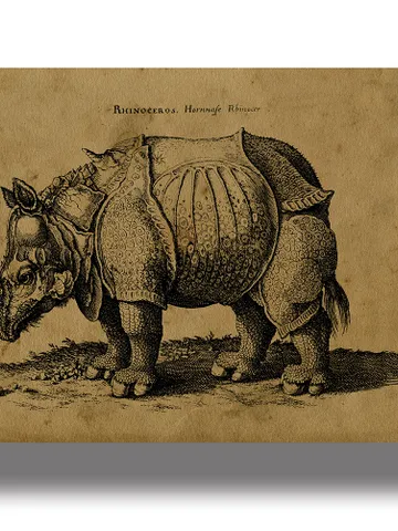 The Rhinoceros. Medieval bestiary illustration. $21.00