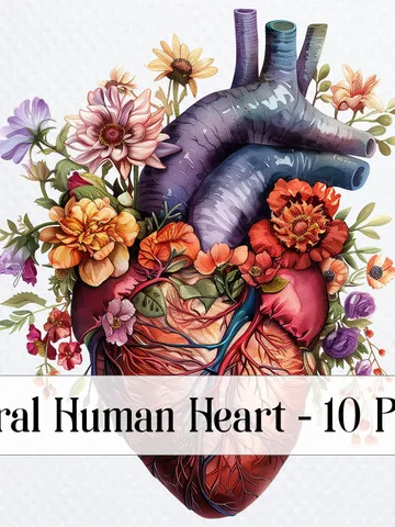 10 Floral Human Heart PNG Clipart, Printable Watercolor Anatomical Heart clipart for sublimation, Digital download, Paper craft, journals $2.64