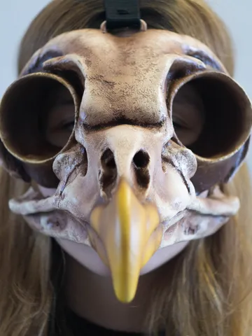 Bird Skull Mask, Owl Skull, Viking skull Mask, bird mask, plague doctor mask, steampunk bird mask, bird beak mask, Voodoo Mask, Raven Mask $386.91