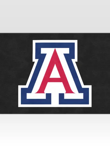 Arizona Wildcats DoorMat $48.00