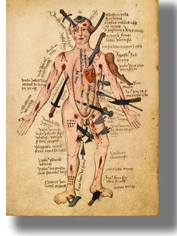 An illustration from an old medical atlas. Anathomia by Pseudo-Galen. $21.00