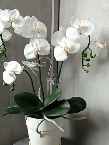 artificial orchid for living room, phalaenopsis, decorative orchid, table orchid, orchid flowers for room $180.00