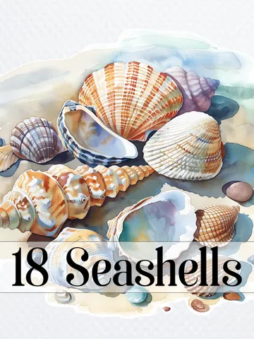 18 Seashells PNG Bundle, Seashell Clipart, Watercolor Sea Shell clipart, Seashells sublimation, Paper craft, junk journal, Digital download $2.64