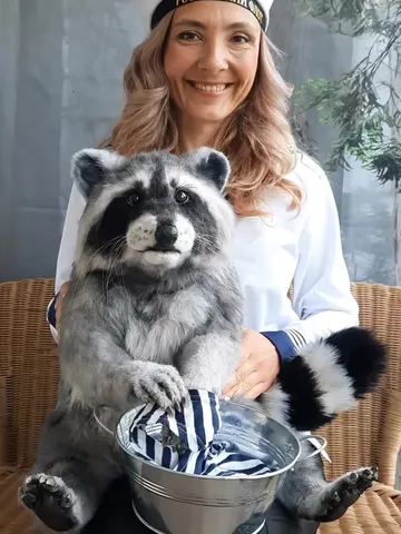 Raccoon Egorka