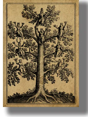 Pagan gods sit on the World Tree Yggdrasil. $21.00
