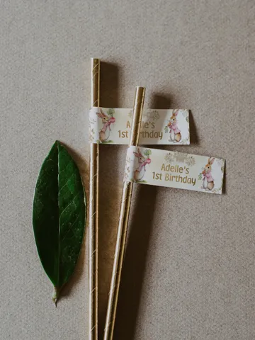Editable and Printable straw tag template for the 1st Baby Birthday party in Peter Rabbit style instant download and unlimited access pr777 $10.45