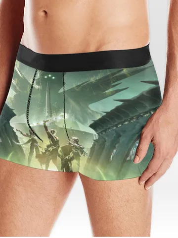 Destiny 2 Season of the Witch Sword Boxer Briefs Underwear $45.00