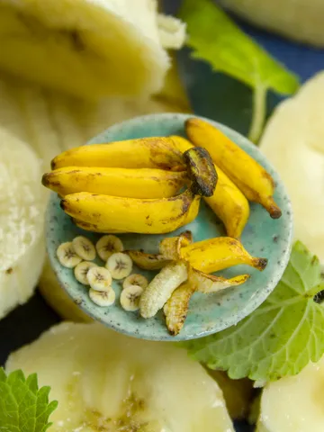 TUTORIAL Miniature banana cane with polymer clay $18.00