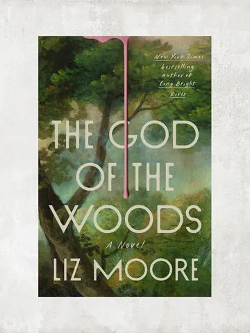 The God of the Woods: A Novel / by Liz Moore / Digital Book $1.95